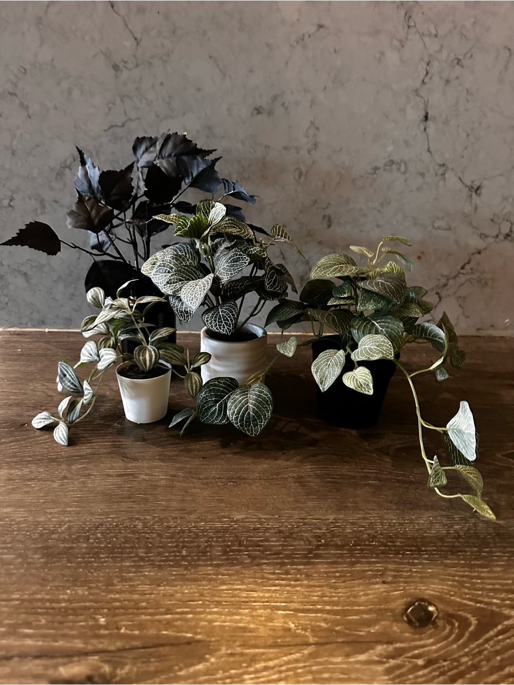 Bundle of 4 Faux Plants🪴